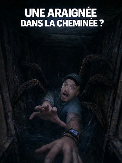 Spécialiste des Araignées et Cheminées : Une Aventure Étrange