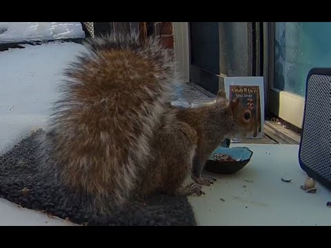 EP07 | Nuts R Us 🥜 | Dial-Up to 2.0