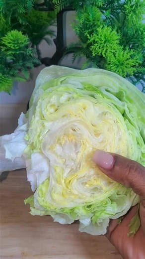 Regenera el estómago #reelsviral #reelschallenge #salud #SaludNatural #parati #HogarInteligente | Tips de noemi