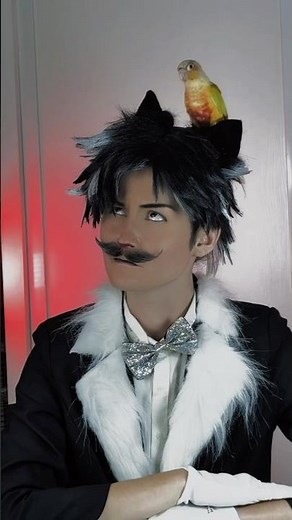 Tweety & Sylvester cosplay with my bird Happy 💛 #looneytunes #cosplay