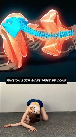Relieve Lower Back Tension with This Torso Stretch 🔥 #Stretching #HomeWorkout #Fitness
