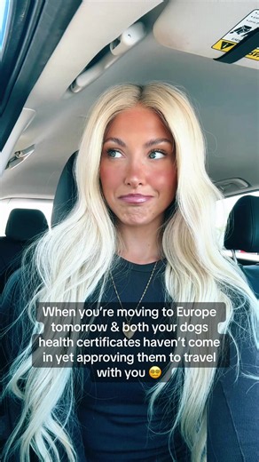 Last-Minute Dog Health Certificates for International Travel