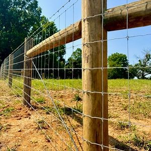 [Hot Item] Durable Hinge Joint Wire Mesh Fence for Livestock Protection