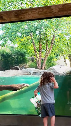 Clean, beautiful, and easily one of the coolest zoos in the Midwest. #FortWayneZoo #MidwestFinds
