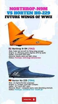 Horten Ho 229 vs Northrop N-9M: The First Stealth Jet? #shorts