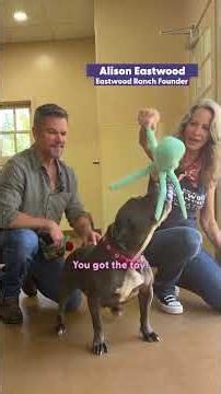 Matt Damon’s Wife Let Him Go On His First Date In 23 Years | The Dodo