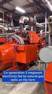 258K views · 1.8K reactions | Behind the scenes of our next episode, Kevin O'Connor visits a family owned factory involved in creating products off-site for our builds – Baird Brothers Fine Hardwoods. Don't miss our deep dive into factories, airing on PBS starting tomorrow! | This Old House | Facebook