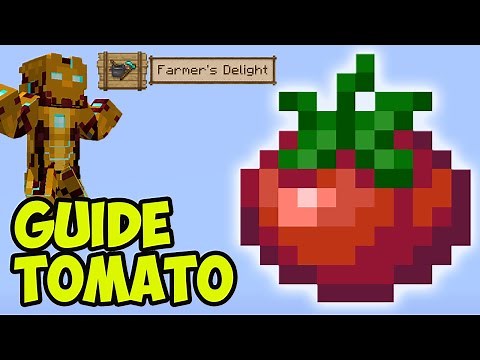 Minecraft Farmer's Delight TOMATO (FULL GUIDE) (2025) | Farmer's Delight TOMATO ROPE