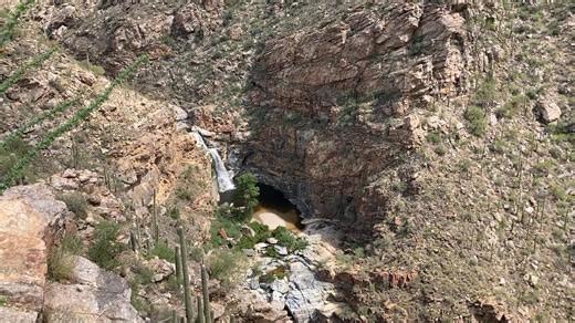 Tanque Verde Falls is a spectacular place to visit after the rain, but it is important to always recreate safely. Each year, the Southern Arizona Rescue Association (SARA) is called to save people stranded by high water or swept away in flood waters. PLEASE don’t let this happen to you! Before entering the canyon, check weather and radar apps for past, present, and predicted storms. Flash floods can occur minutes or hours after rain. Do not enter the canyon if there is a storm or flood risk. Bet