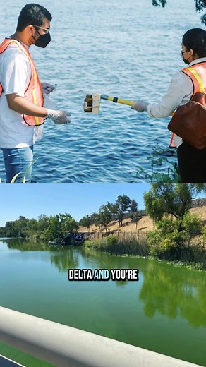 The Delta Conveyance Project could make Harmful Algal Blooms worse by reducing water flow, creating more stagnant areas for blooms to thrive. Learn more from our Restore the Delta Science Program manager, Spencer Fern. Watch the full video here: https://bit.ly/4k8XFjp #Cawater #Environmentaljustice | Restore the Delta | Facebook
