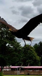 298K views · 378 reactions | Enjoy a second day in the castle FREE when you book a short break between 5th April - 31st May ⭐ | Warwick Castle | Facebook