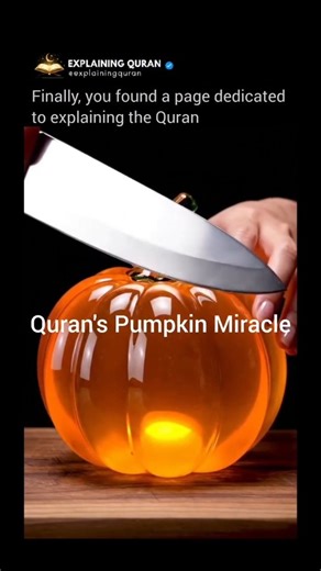 Explaining The Quran on Instagram: "In the Qur’an, Allah mentions the pumpkin (yaqṭīn) in the story of Prophet Yūnus (Jonah) as a source of healing and care after his severe trial. Allah says: “And We caused to grow over him a tree of yaqṭīn” (Surah Aṣ-Ṣāffāt 37:146), after Yūnus was cast onto the shore weak and ill from his time in the belly of the whale. Classical scholars explained yaqṭīn as a fast-growing, broad-leaf plant—commonly identified as pumpkin or gourd—whose large leaves provide sh