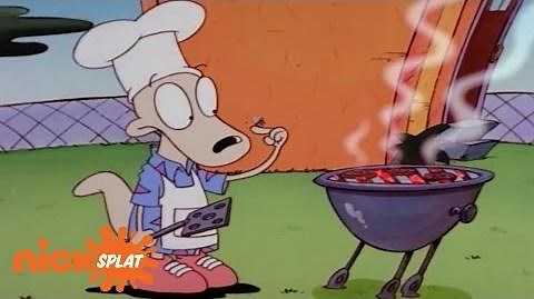 A Pesky Fly Interrupts Rocko’s Barbecue Rocko's Modern Life NickSplat