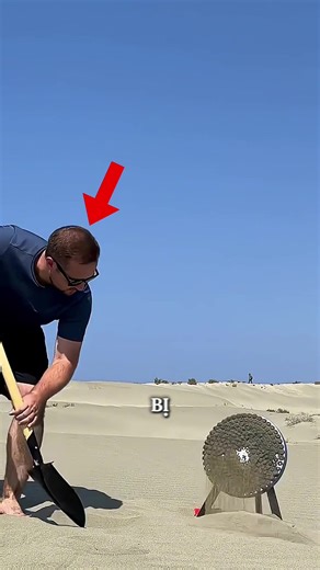 Tìm Vàng Trong Cát: Khám Phá Kỳ Diệu Xung Quanh Ta