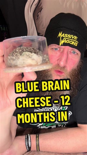 One Year Update on Blue Brain Cheese