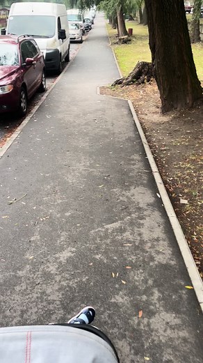 Walking Down a Beautiful Pathway Surrounded by Trees