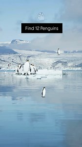 Level : Very hard | Derp