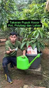 Dosage for MKP, KNO3, and Boron Fertilizers