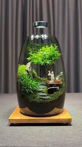 The heart is like flowers and trees, growing towards the sun #microlandscape #LANDscaping #mossmicrolandscape #bonsai #Only high quality #Architecture #RainforestLandscaping #PrimitiveLandscaping #moss #Microlandscape #trending #reelsfb #reels #reels2024 #reelsviral #viralreels #viralpost #viralvideo #nature #glassart #decoration #nature #naturephotography #mossmicrolandscape #microlandscape #bonsaiart #mossmicroscape #moss #fypシ゚ #fypシ゚viralシ #art #mossgarden #DIY #mosscare #diybonsai #bonsai #