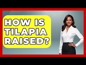 How Is Tilapia Raised? - The Marine Life Explorer
