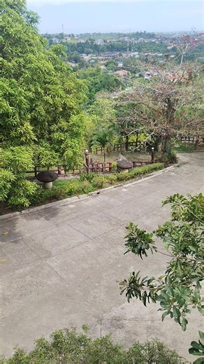 Johnny Mambo on Reels