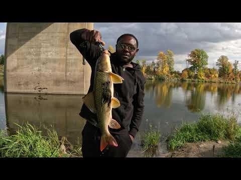 Fishing With Nightcrawler worms Look What I Catch #fishing