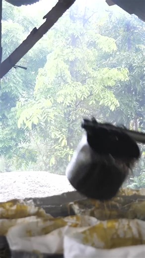 17K views · 113 reactions | This is how the world’s most commonly used chemical is made. #howitsmade #industrial #production | Business Insider Africa | Facebook