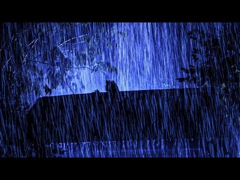 Fall Asleep Instantly with Best Rain Sounds for Sleep | Heavy Rainstorm Thunder Relaxation Ambience