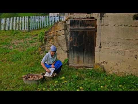 Living Alone in the Mountains: Her Daily Life and Work