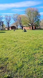 46K views · 493 reactions | Riding a Chopper Passing the grass #harleydavidson #harleylife #harley #harleydavidsonmotorcycles #harleydavidsondaily #chopper #custombike #customculture #sportster #iron883 #harleydavidson #bikelife #vulcan #Maintenance is important #harley #nighttrain #bobber #vintageharleydavidson @sorotan | T M Fahmi Maulana | Facebook