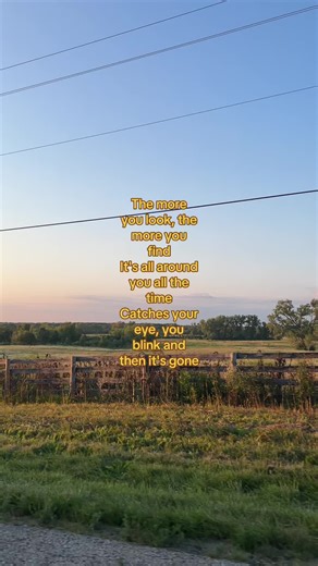 Olivia Dean's 'Missing Spring' - A Grad Song Choice