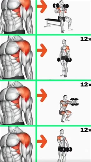 5 Essential Exercises for a STRONGER Shoulder Workout