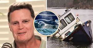 Rassie Erasmus Recalls Disastrous Family Trip To See Fungie When He Arrived In Ireland | Balls.ie