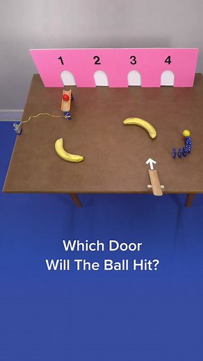 Puzzle Machine: Which Door Will The Ball Hit?