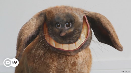 When children’s drawings come to life