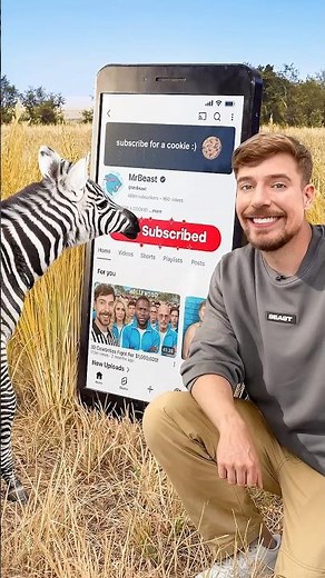 Will a Zebra Subscribe to me?