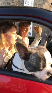 Coming soon... Iconize By Marco Ferrero 󾓯 Follow us on Instagram: https://goo.gl/lJqTgg #staytuned #cometuvuoiessere | Ligier Microcar Italia