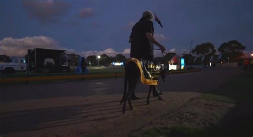 🥰 Wow She’s Fast aka Sharni, reminded everyone during the parade of champions at @sandowndogs last year that she’s still the 💩 when it comes to racing 😜 #greyhoundracing #wowshesfast