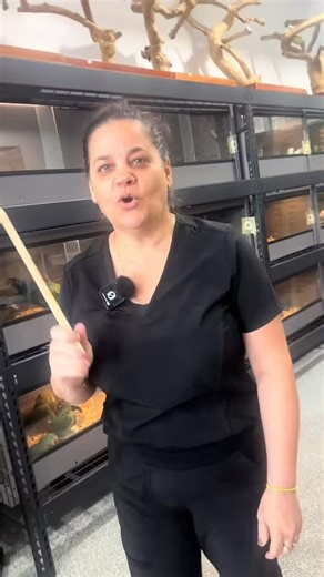 Pet Vous on Instagram: "🫶"