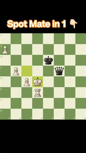 Only 1% players can spot instantly 🙄#chess #puzzle #checkmate