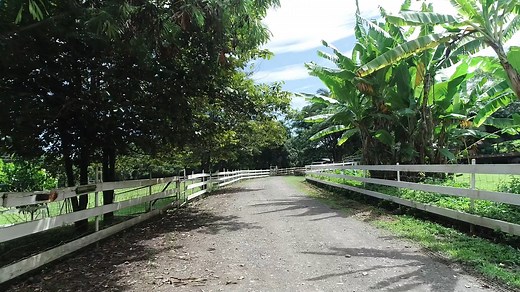 tradewinds_ranch_venue_overview (Original).mp4