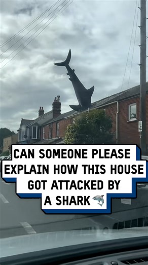 It must have started raining sharks 🦈😮 #fblifestyle | UNILAD Tech