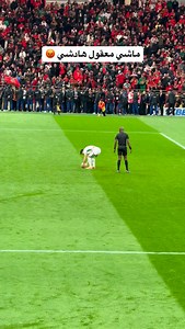 😡😡😡😡😡😡😡 | Danas TV