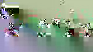 Happy World Wildlife Day! We’re proud to share the amazing aquatic wildlife that our partners at Fisheries and Oceans Canada protect every day! Take a dive into this fascinating world! | Canadian Coast Guard