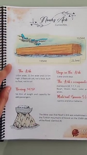 4.2K reactions · 357 shares |  Understand the complete story of the Bible once and for all, in an easy, simple and educational way! | The Bible Study Plan | Facebook