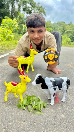 Duita Mini Deer Vs Rc Cow Unboxing Deko😱