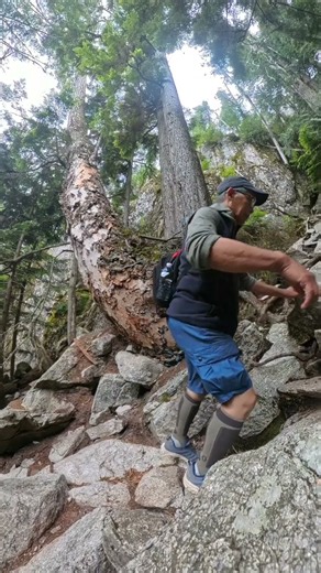 Rocky Hiking Trail #trailhead #hikingtrails #ytshortsviral