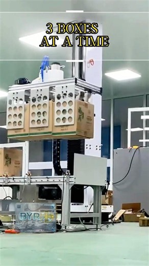 3 Boxes at a Time#palletizer #palletizing #robotics #automation #stacking
