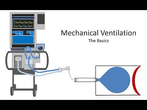 Mechanical Ventilation - The Basics