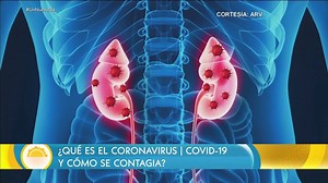 2.1M views · 11K reactions | ¿Qué es el coronavirus/COVID-19 y cómo se contagia? ⚠️¡Te explicamos todo! Recuerden que es sumamente importante mantener el sistema inmune fuerte y saludable y así tener el cuerpo preparado. | hoy Día | Facebook